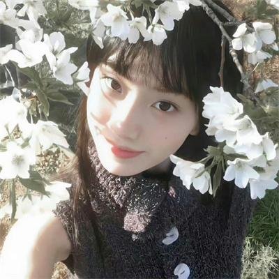 我的朋友圈